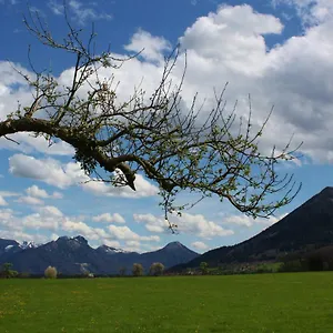 Apfelblüte , Bad Feilnbach Deutschland